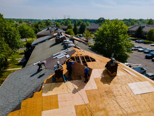 Quick and Trustworthy Emergency Roof Repair Services in Beverly Hills, FL