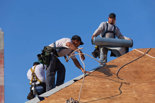 Professional Roofing Contractor in Beverly Hills, FL