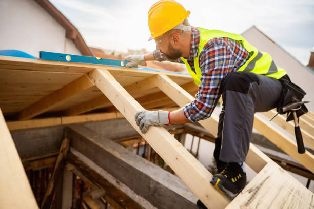 Best Roof Gutter Cleaning  in Beverly Hills, FL