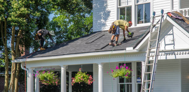 Best Gutter Installation and Roofing  in Beverly Hills, FL